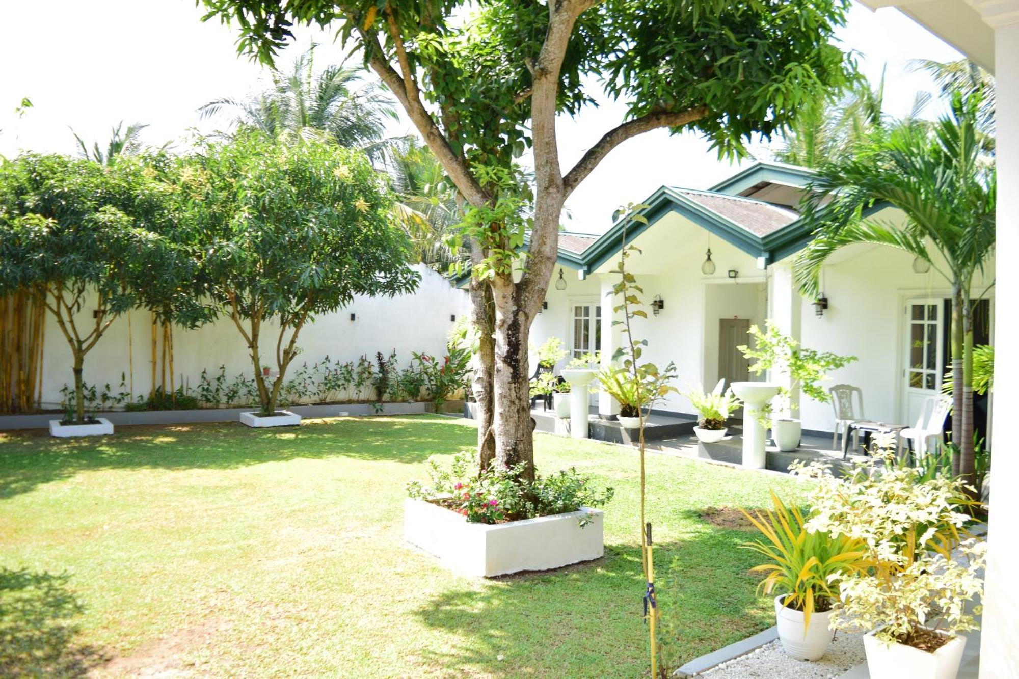The Bamboo Tree Transit Hotel Katunayaka Eksteriør bilde