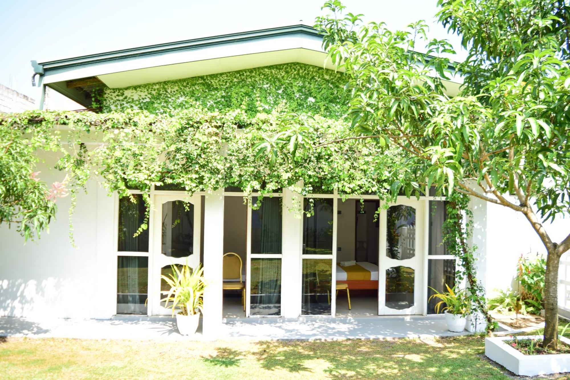 The Bamboo Tree Transit Hotel Katunayaka Eksteriør bilde
